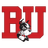 New Mexico Lobos