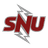 Texas Southern Tigers
