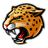 LSU Tigers